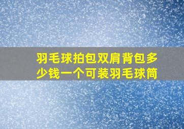 羽毛球拍包双肩背包多少钱一个可装羽毛球筒