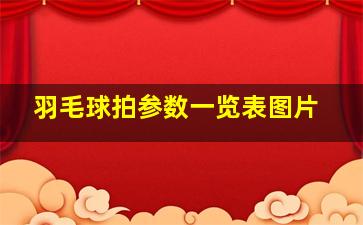 羽毛球拍参数一览表图片