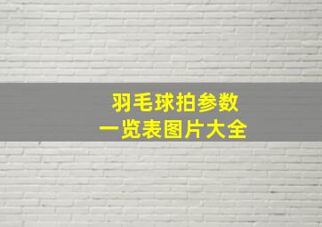 羽毛球拍参数一览表图片大全