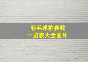 羽毛球拍参数一览表大全图片