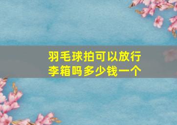 羽毛球拍可以放行李箱吗多少钱一个