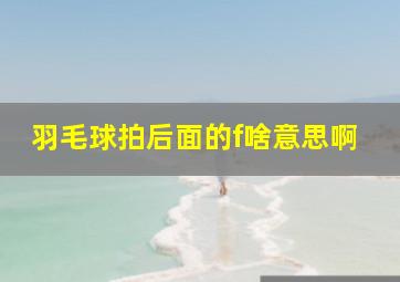 羽毛球拍后面的f啥意思啊