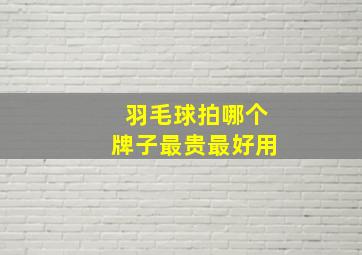 羽毛球拍哪个牌子最贵最好用