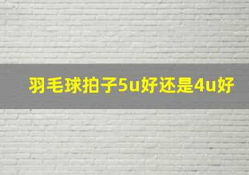 羽毛球拍子5u好还是4u好