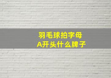 羽毛球拍字母A开头什么牌子