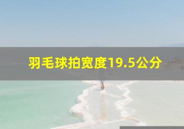 羽毛球拍宽度19.5公分