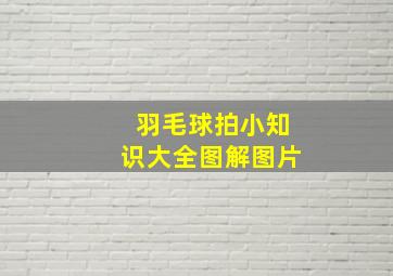 羽毛球拍小知识大全图解图片