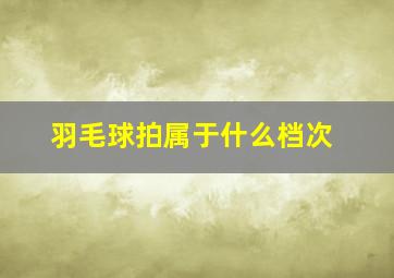 羽毛球拍属于什么档次