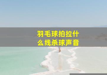 羽毛球拍拉什么线杀球声音