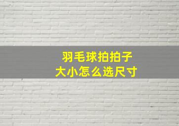 羽毛球拍拍子大小怎么选尺寸