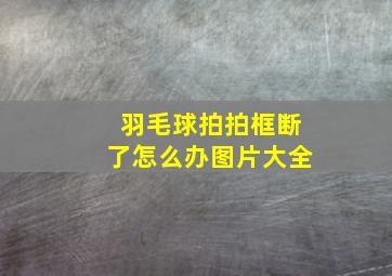 羽毛球拍拍框断了怎么办图片大全