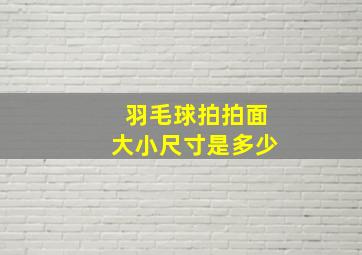 羽毛球拍拍面大小尺寸是多少