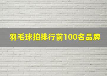 羽毛球拍排行前100名品牌