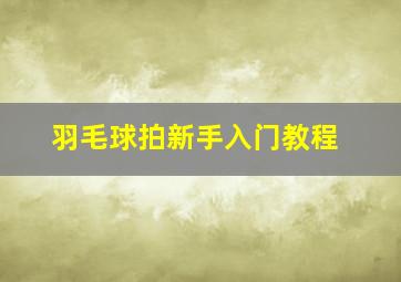 羽毛球拍新手入门教程