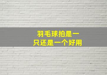 羽毛球拍是一只还是一个好用