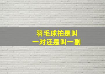 羽毛球拍是叫一对还是叫一副