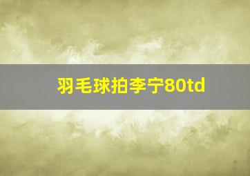 羽毛球拍李宁80td