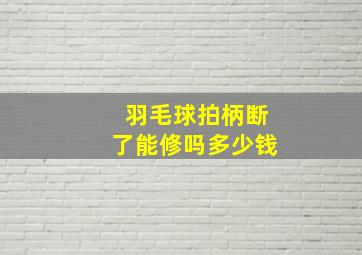 羽毛球拍柄断了能修吗多少钱