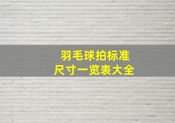 羽毛球拍标准尺寸一览表大全