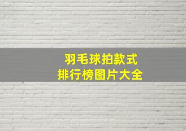 羽毛球拍款式排行榜图片大全