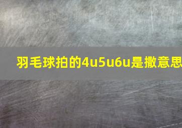 羽毛球拍的4u5u6u是撒意思