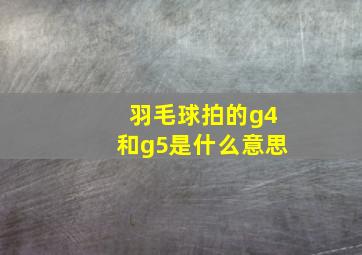 羽毛球拍的g4和g5是什么意思