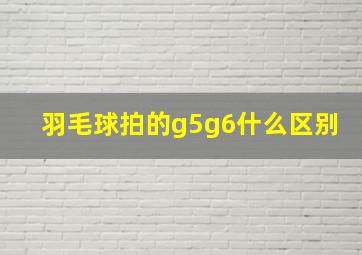 羽毛球拍的g5g6什么区别