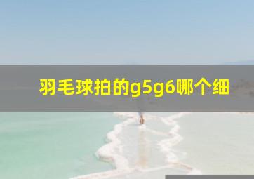 羽毛球拍的g5g6哪个细