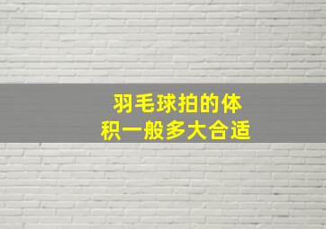 羽毛球拍的体积一般多大合适