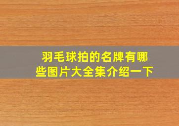 羽毛球拍的名牌有哪些图片大全集介绍一下