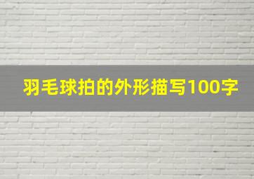 羽毛球拍的外形描写100字