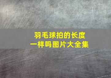 羽毛球拍的长度一样吗图片大全集