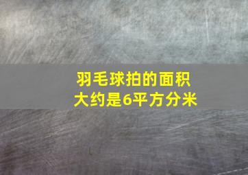 羽毛球拍的面积大约是6平方分米