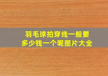 羽毛球拍穿线一般要多少钱一个呢图片大全