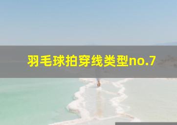 羽毛球拍穿线类型no.7