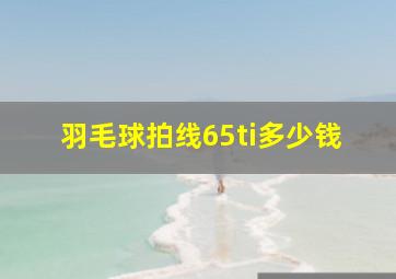 羽毛球拍线65ti多少钱