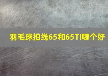 羽毛球拍线65和65TI哪个好