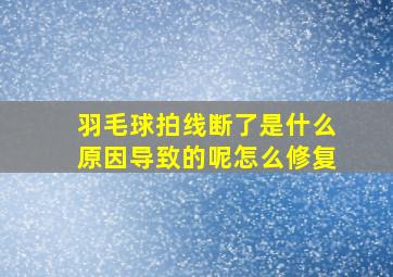 羽毛球拍线断了是什么原因导致的呢怎么修复