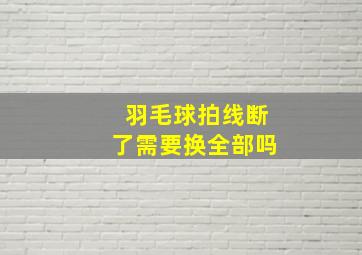 羽毛球拍线断了需要换全部吗