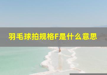 羽毛球拍规格F是什么意思