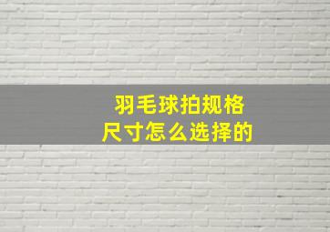 羽毛球拍规格尺寸怎么选择的