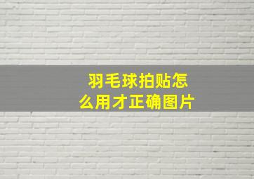 羽毛球拍贴怎么用才正确图片