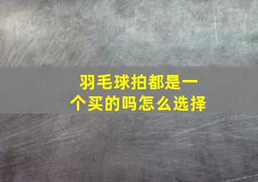 羽毛球拍都是一个买的吗怎么选择