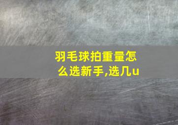 羽毛球拍重量怎么选新手,选几u