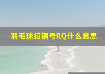 羽毛球拍钢号RQ什么意思