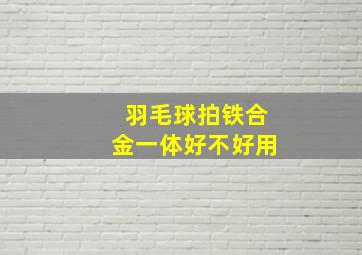 羽毛球拍铁合金一体好不好用