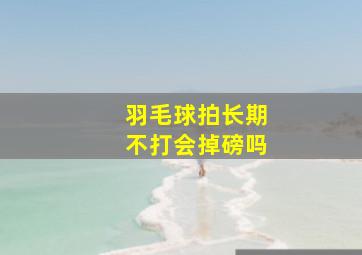 羽毛球拍长期不打会掉磅吗