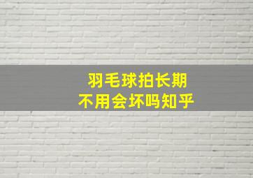 羽毛球拍长期不用会坏吗知乎