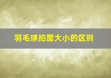 羽毛球拍面大小的区别