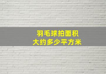 羽毛球拍面积大约多少平方米